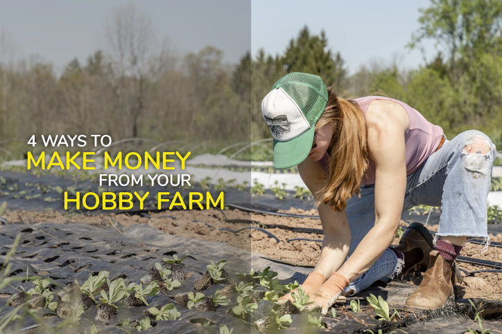 4 Ways to Make Money from Your Hobby Farm
