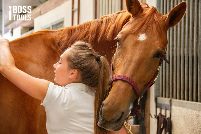 Horse Grooming Tips - How to Make Horse Care Easier