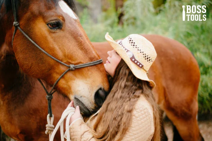 How to Choose a Veterinarian for Your Horse