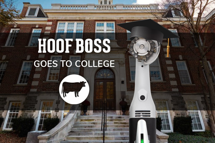 The Hoof Boss and the Ontario Veterinary College